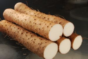 jaamiuute diosgeniini