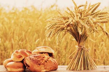 wheat