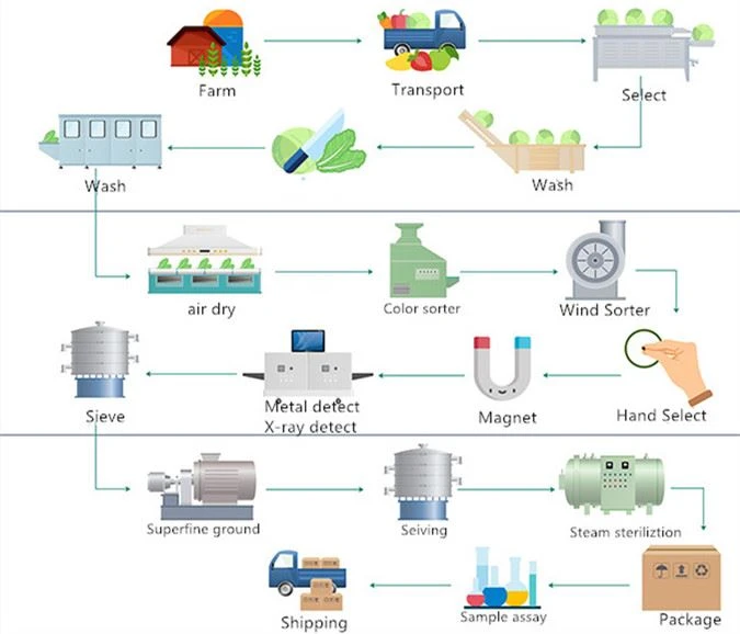 vegetable powder flow chart