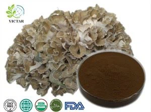 Maitake-uute