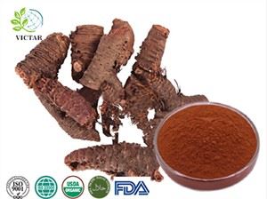 Rhodiola Rosea -uute
