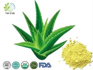 Aloe vera -uute