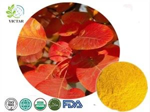 Fisetiini 98 prosenttia