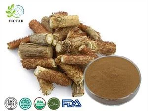 siperian ginseng-uute