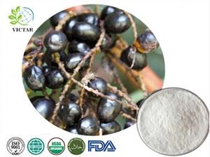 Saw Palmetto -uute