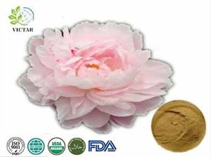 Valkoinen pioni Root Extract Peony Flower Peony Root Extract Valkoinen Peony Supplement Peony Extract Ihonhoito
