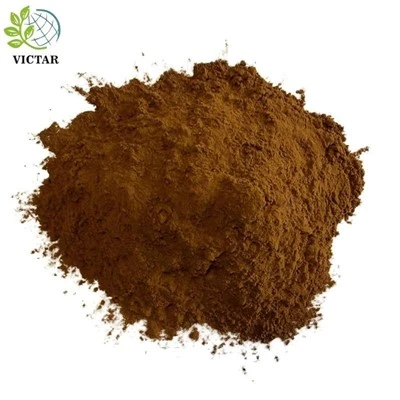 Chaga-sienijauhe